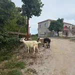 Bujtina Hotel *