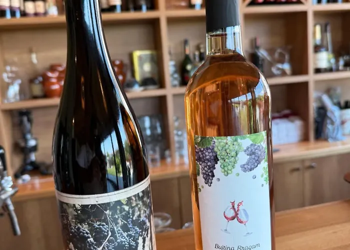 Bujtina Hotel Rragam